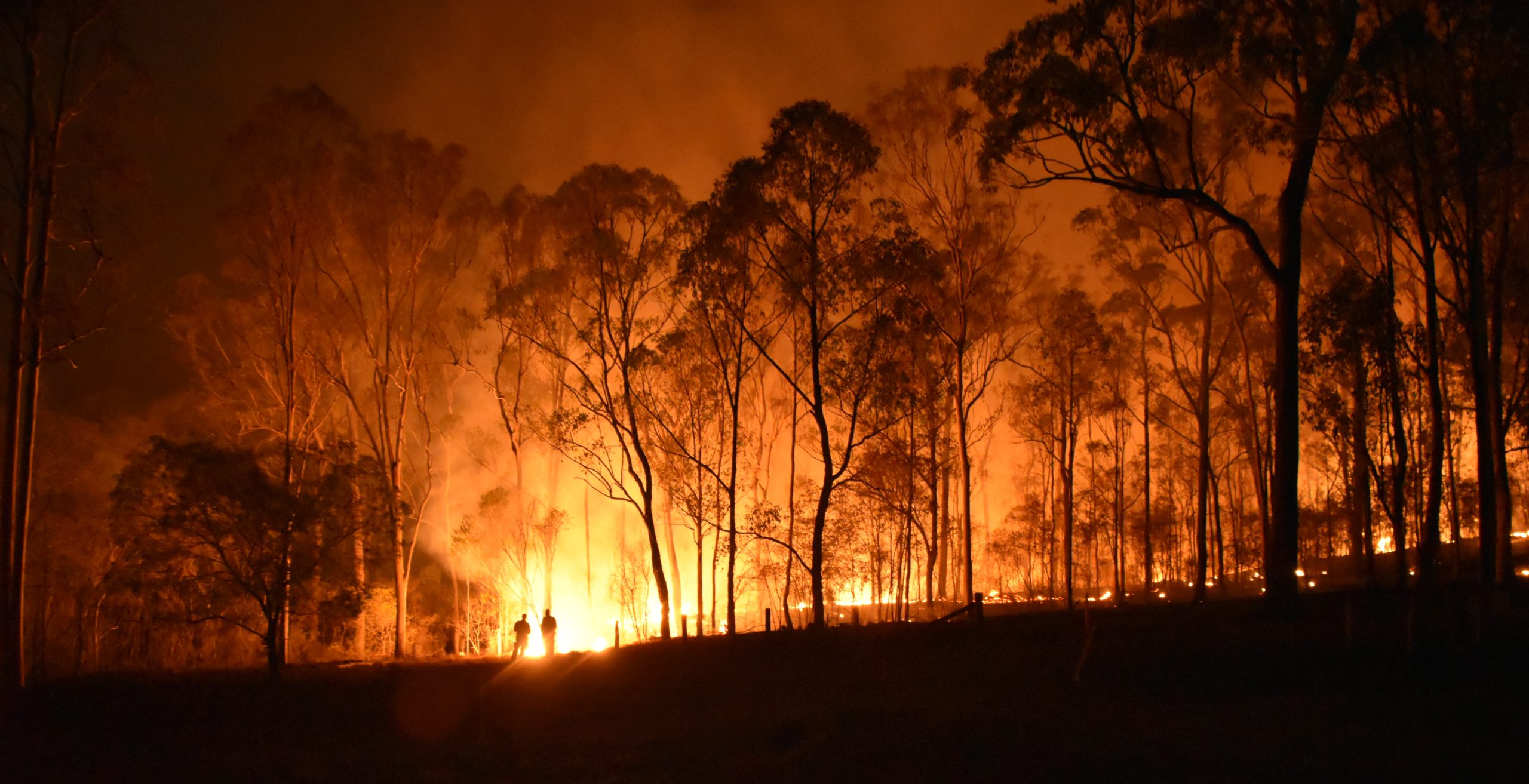 How to Support Australian Wildfire Relief