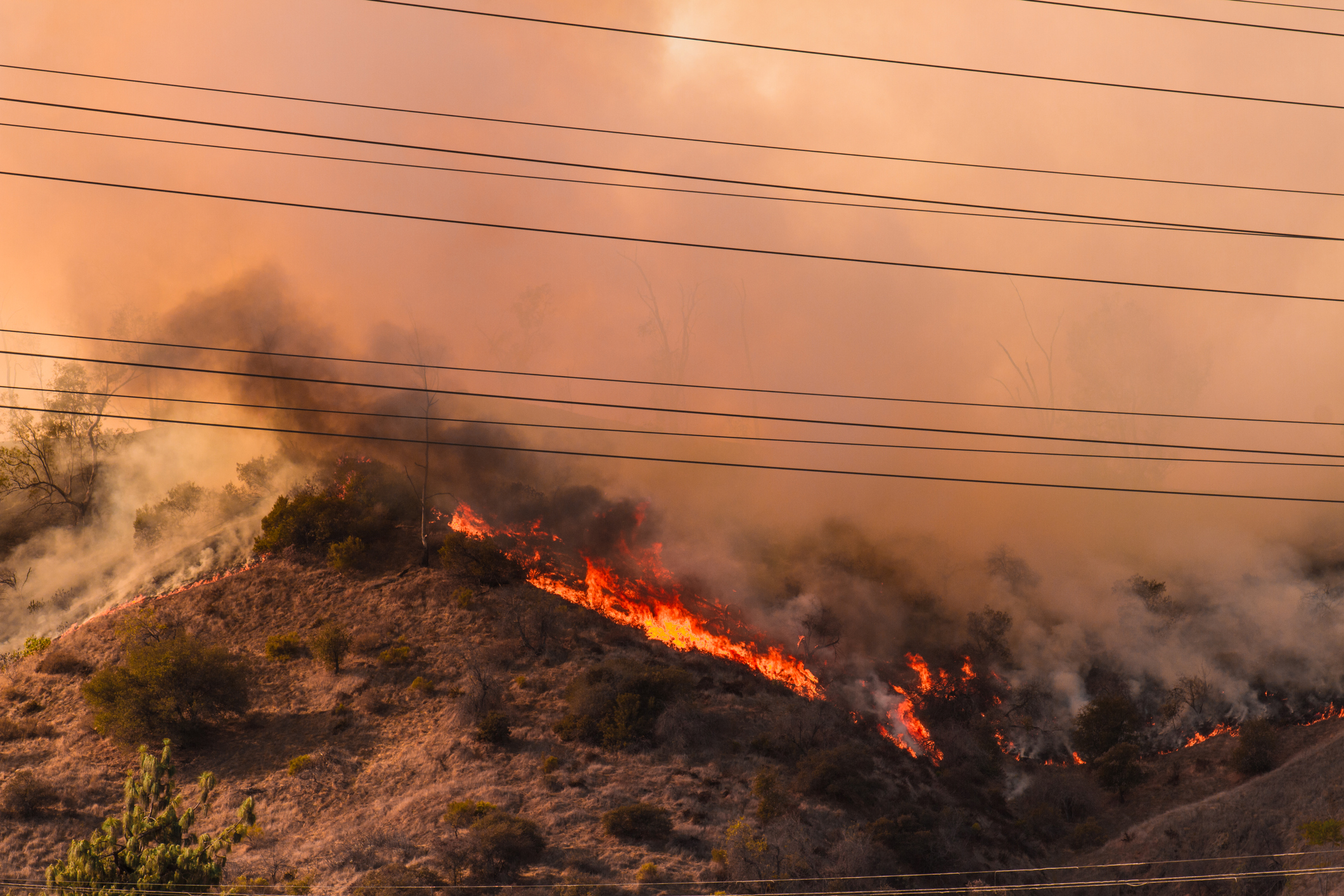 Ways to Help Those Affected by the California Wildfires