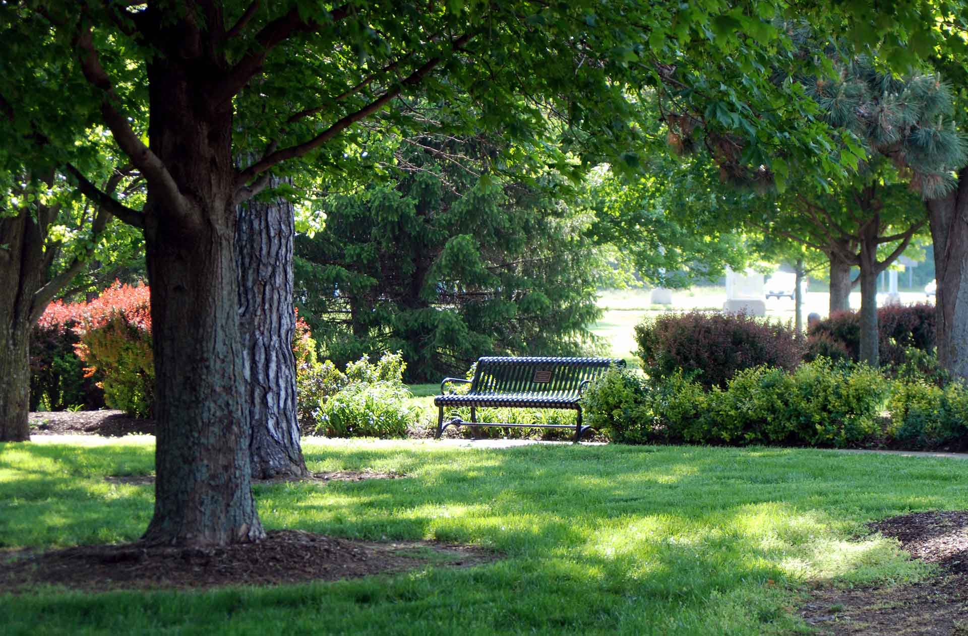 A bench at a park