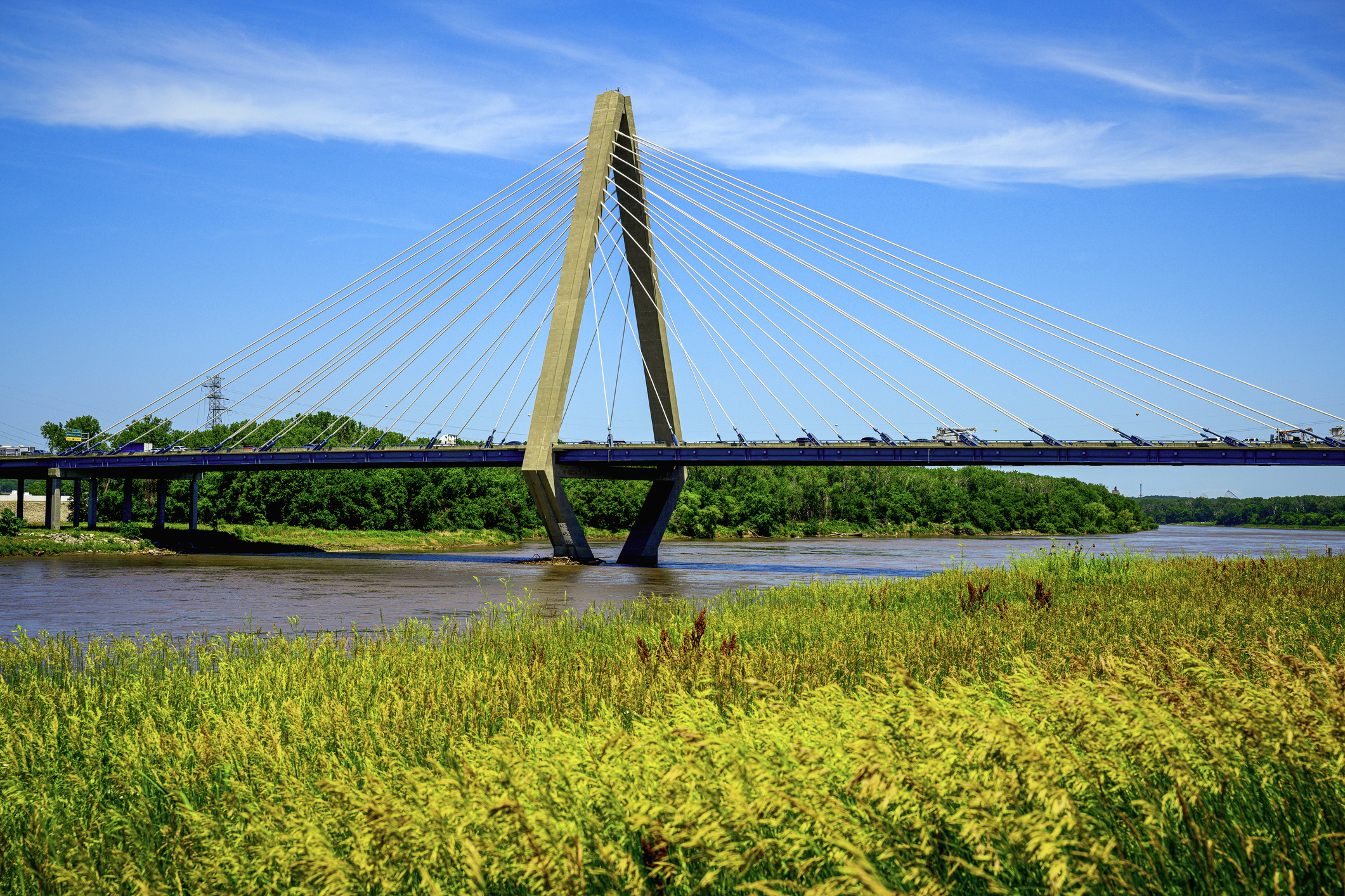 The Bond Bridge crossing the Missouri River and the beautiful wildflowers along the Riverfront Heritage Trail in Kansas City, Missouri