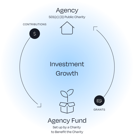 How an agency fund works graphic.